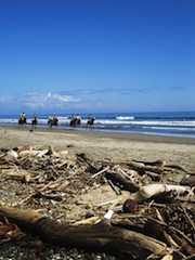 Beach_horse_tour_in_Mal_Pais_2